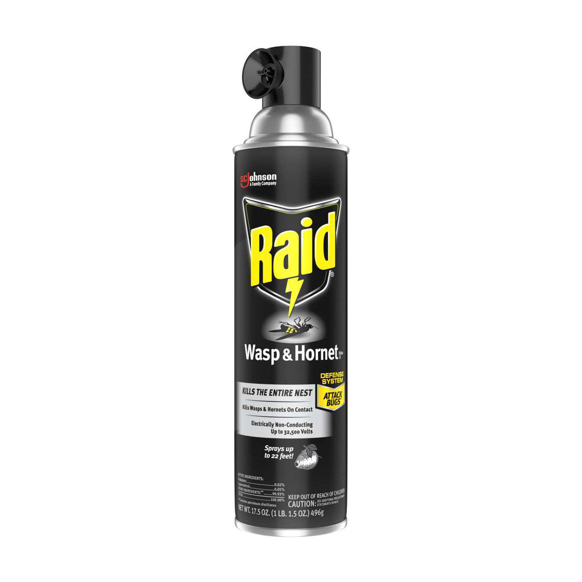Raid Wasp & Hornet Killer 33, Insect Spray, 17.5 oz