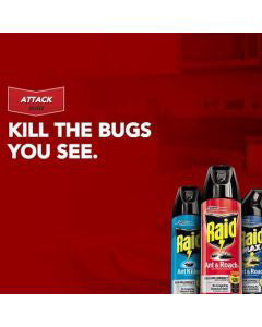 Raid Wasp & Hornet Killer 33, Insect Spray, 17.5 oz