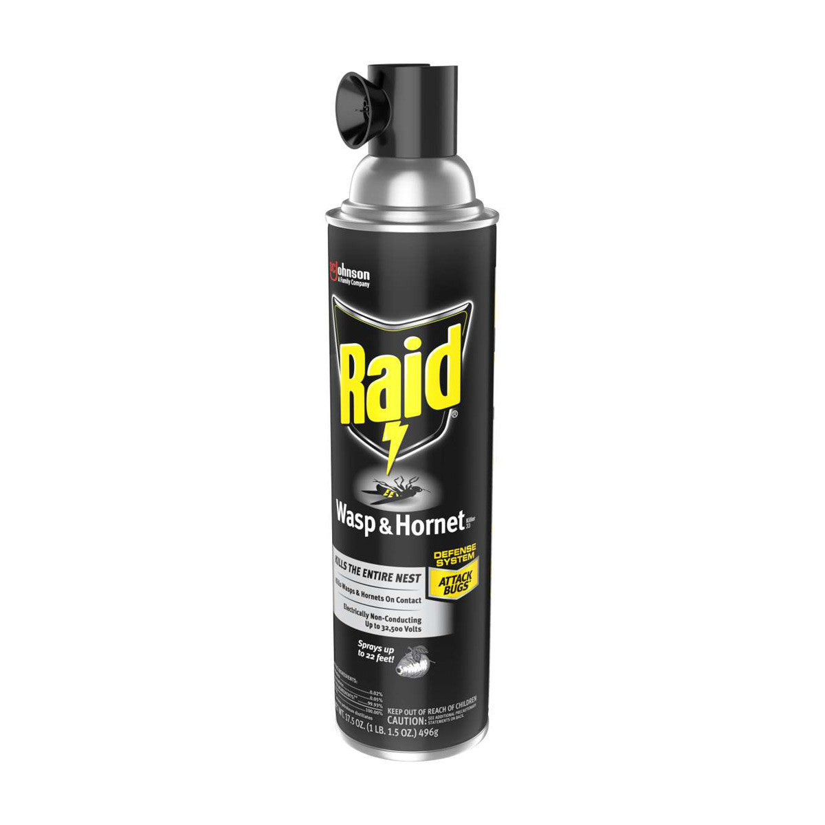 Raid Wasp & Hornet Killer 33, Insect Spray, 17.5 oz