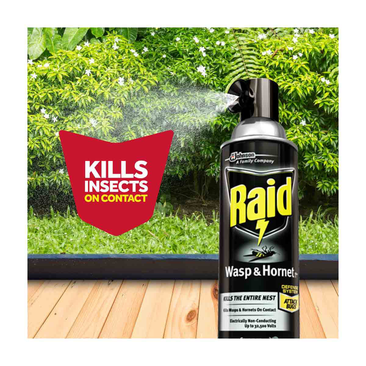 Raid Wasp & Hornet Killer 33, Insect Spray, 17.5 oz