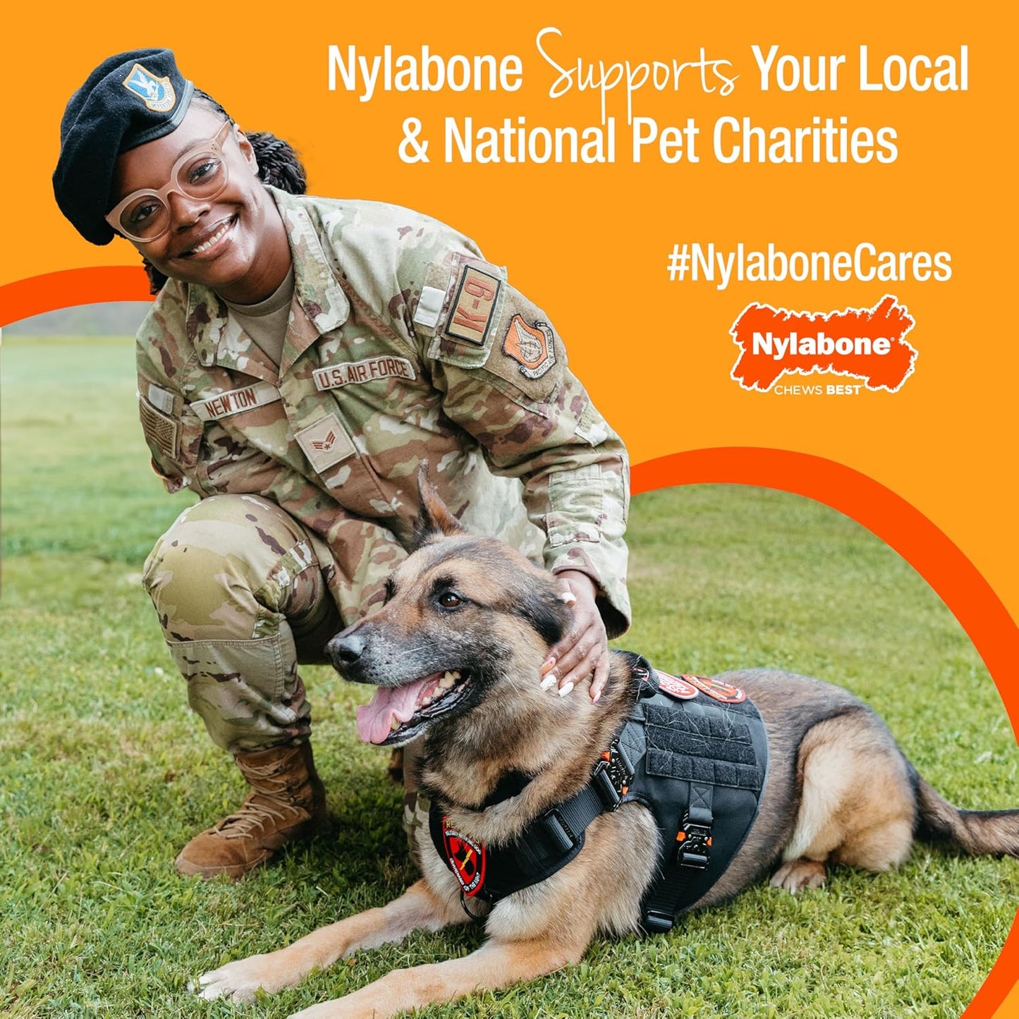 Nylabone Healthy Edibles WILD Natural Long-Lasting Bison Flavor Bone Chew Treats for Dogs, Medium (2 Count)