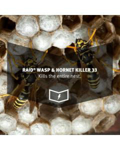 Raid Wasp & Hornet Killer 33, Insect Spray, 17.5 oz