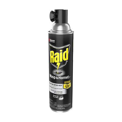 Raid Wasp & Hornet Killer 33, Insect Spray, 17.5 oz