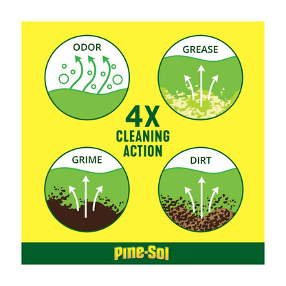 Pine-Sol All Purpose Multi-Surface Cleaner, Original Pine Scent, 24 oz