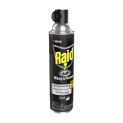 Raid Wasp & Hornet Killer 33, Insect Spray, 17.5 oz